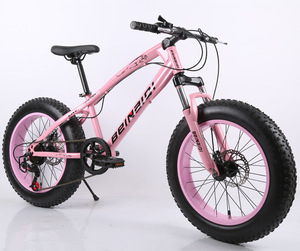 Bicicletta da <span class=keywords><strong>Montagna</strong></span> King Kong 20 Pollici con Pneumatici Larghi, Freni a Disco, Sospensione Anteriore, Telaio in Acciaio al Carbonio - Product Image 5
