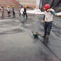 Qianyuan HDPE Geomembrane Liner Pond Liner Material de revestimiento de presa para proyecto de presa Minería en Argentina