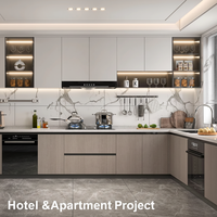 Meubles de cuisine modernes sans poignées, finition mate, pour projets de rénovation de cuisines résidentielles contemporaines, avec système d'éclairage LED