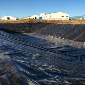 Bassin de lagune à boues de grande envergure avec revêtement imperméable en géomembrane HDPE et géotextile noir, Nouveau style 2026 - Product Image 6