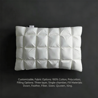 Oreiller en duvet d'oie 3D personnalisé en boîte, taille Queen/King, garnissage simple/triple couche, 50 MOQ, literie d'hôtel