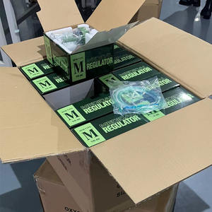 Nemlendirici ile taşınabilir tıbbi oksijen regülatörü silindir basıncı oksijen regülatörü fiyat 250bar - Product Image 5