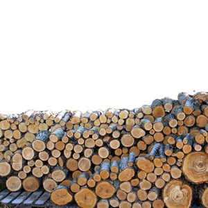 Venta al por mayor de fábrica: Postes de sonido de madera de abeto transparente de varios tamaños para violín, <span class=keywords><strong>viola</strong></span>, violonchelo y <span class=keywords><strong>contrabajo</strong></span> - Product Image 2