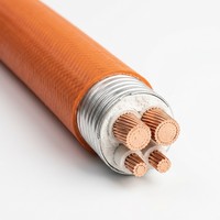 Cable de Alimentación Flexible de Cobre de 3+2 Núcleos BBTRZ, Resistente al Fuego, con Aislamiento Mineral de 0.6/1kV para Distribución de Energía