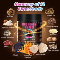 Café instantané au Ganoderma Arabica de marque privée Chinaherb, certifié GMP, de haute qualité, sain et énergétique