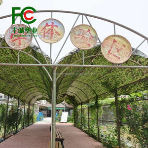 150g Haute Qualité Camouflage Imperméable Extra Large Imperméable Bâche Robuste pour Blueberry Farm et Couverture de Stockage <span class=keywords><strong>Militaire</strong></span> - Product Image 4