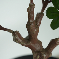 Plante artificielle en pot de haute qualité, herbe milanaise simulée, spécialement conçue pour une utilisation en intérieur et en extérieur