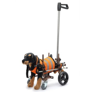 Chariot <span class=keywords><strong>pour</strong></span> <span class=keywords><strong>chien</strong></span> <span class=keywords><strong>handicapé</strong></span> Scooter Véhicule <span class=keywords><strong>Fauteuil</strong></span> <span class=keywords><strong>roulant</strong></span> <span class=keywords><strong>Fauteuil</strong></span> <span class=keywords><strong>roulant</strong></span> <span class=keywords><strong>pour</strong></span> <span class=keywords><strong>chien</strong></span> <span class=keywords><strong>Fauteuil</strong></span> <span class=keywords><strong>roulant</strong></span> <span class=keywords><strong>pour</strong></span> pattes arrière - Product Image 4