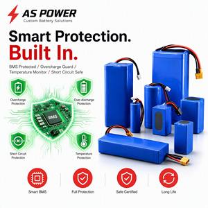 Paket Baterai Lithium Custom Ansen AS-DCZ OEM Grosir Pesanan Massal Stok Gudang Pengiriman Global Semua Ukuran Tegangan 1000 Siklus - Product Image 5