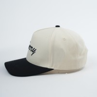 Hoge Kwaliteit Custom Logo Sport Baseball Caps Dot Fruit Patroon Dobby Made Oxford Poplin Aangepaste Borduurhoed Fabrikanten