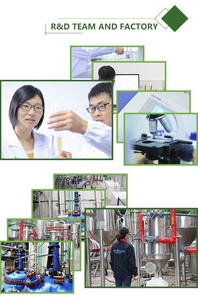 Nhà Máy Bán buôn tự nhiên chăm sóc sức khỏe bổ sung 99% pqq bột - Product Image 5