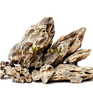 Aquariumdecoratie Bruine Drakenbeendersteen - Product Image 3