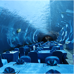 Hot Selling Fabrikant Grote Kunstmatige Grootste Tropische Acryl Aquarium Kopen Groot Aquarium - Product Image 3