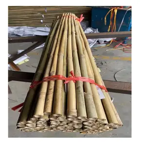 2FT 3FT 4FT 5FT 6FT Bambu Jardim Cana, Jardim Bambu Cana treliça ervilha feijão rede/bambu estaca/suporte a plantas