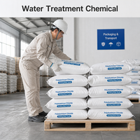 Chlorure de polyaluminium en poudre blanche PAC 30% pour le traitement de l'eau potable municipale