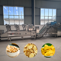 Automatische continue frituurlijn voor aardappelchips, bananenchips en andere snacks; frituurapparatuur voor voedingsfabrieken