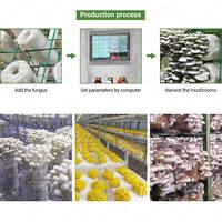 Ferme hydroponique verticale, culture de laitue, de champignons, de safran, conteneur d'expédition aéroponique avec électricité solaire