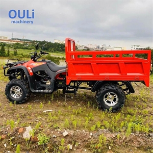 <span class=keywords><strong>Quad</strong></span> 4x4 tout-terrain 250cc pour adultes, idéal pour le transport de marchandises agricoles et les remorques agricoles - Product Image 3