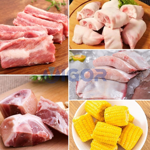 Machine à découper la viande et les os à usage commercial, scie à convoyeur industrielle robuste pour les côtes de bœuf et les blocs de viande congelée - Product Image 2