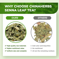 Thé minceur HALAL à marque privée Chinaherbs, logo personnalisé, thé aux herbes naturelles efficace pour perdre du poids, feuilles de séné pour adultes