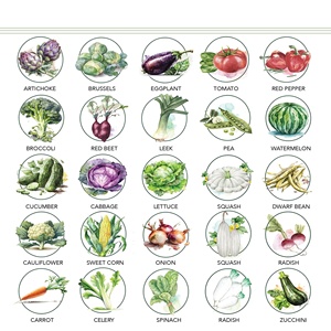 Héritier à haut rendement 25 Kit de plantes de paquet de sac de truie de jardin <span class=keywords><strong>potager</strong></span> grand cadeau de jardinage à la maison <span class=keywords><strong>pour</strong></span> les débutants utilisation suspendue - Product Image 5