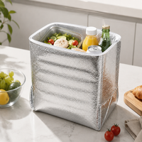 Verdikte aluminiumfolie geïsoleerde voedselzakken, wegwerp koelzakken voor afhaalmaaltijden, fruitkoelzakken, thermische verpakkingszakken voor koude opslag