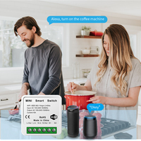 Interrupteur WiFi Tuya Mini 16A, application Smart Life, contrôle bidirectionnel, module d'automatisation de la maison intelligente, Alexa, Google Home
