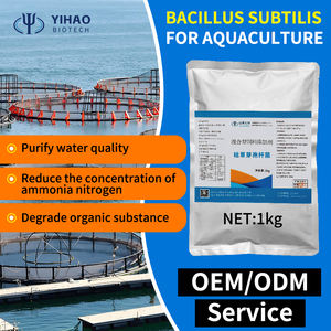 Le supplément de probiotiques <span class=keywords><strong>Bacillus</strong></span> <span class=keywords><strong>subtilis</strong></span> de super qualité pour l'aquaculture améliore l'environnement de l'eau - Product Image 3