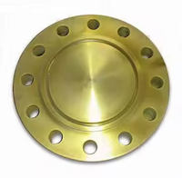 API 6A Fabricant BL BRIDE CS Bride personnalisée 16 3/4 "21 1/4" 2000 PSI 3000PSI 5000PSI Carton Acier S235 A105 Bride aveugle