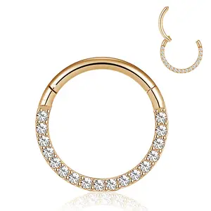 Titanium Hinged Segment Hoop With Pave Opal Stone /