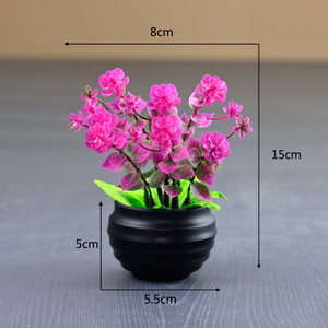 Bonsaï d'eucalyptus artificiel, plante <span class=keywords><strong>de</strong></span> simulation en mini-pot, verdure pour la maison, le bureau, les étagères et les centres <span class=keywords><strong>de</strong></span> table - Product Image 2