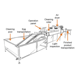 Dây chuyền sản xuất trứng tươi đa bước với đảm bảo chất lượng cho thị trường nông thôn - Product Image 6