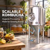 Cuve de Fermentation de Bière Entièrement Personnalisable SUS304 SUS316 500L 1000L 2000L avec Chemise à Plaques Alvéolées 3mm pour Brasserie