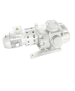 เครื่องเป่าลมแบบรูทส์ 2.2 กิโลวัตต์ 2 แรงม้า รุ่น TXP2000 ปราศจากน้ำมัน เสียงเบา ประสิทธิภาพสูง สำหรับงานอุตสาหกรรม ผลิตในจีน (OEM) - Product Image 5