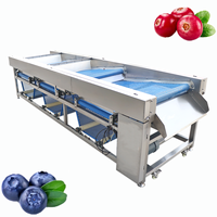 Sorteermachine voor fruit van voedingskwaliteit voor het sorteren van verse appels, peren en sinaasappels |   Hygiënisch ontwerp, eenvoudige desinfectie
