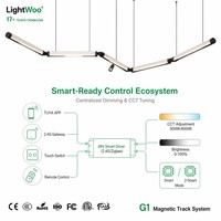 Éclairage linéaire LED de bureau Lightwoo, contrôle intelligent, système de rail magnétique 48V 20mm/5mm, éclairage haut et bas, boutique, showroom