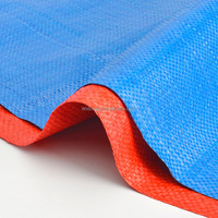 Sac tissé en PP écologique à prix d'usine, transparent, sac de 50 kg, sac en plastique en polyéthylène, sac tissé en PP pour ciment