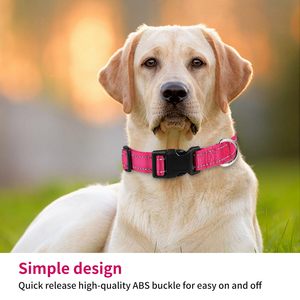 Colliers de dressage réglables réfléchissants pour chiens Chiot Petits chiens de taille moyenne avec sangle en nylon mince et boucle en plastique à dégagement rapide - Product Image 2