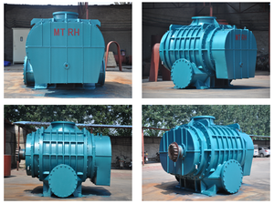 Souffleur à racines robuste pour l'<span class=keywords><strong>air</strong></span> de combustion des fours, fonctionnement stable, faible entretien pour les applications cimentières en Australie - Product Image 6