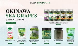 ขวดแก้วโอกินาวะเวียดนามเม็ดยาสกัดองุ่นจากต้นองุ่น - Product Image 6