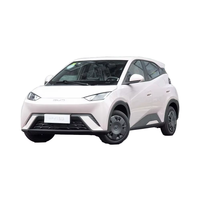 2025 BYD Seagull Version dynamique Voiture électrique Petit véhicule à énergie nouvelle avec une autonomie dynamique de 305km