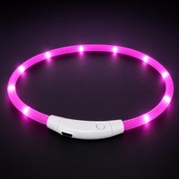 Collar Luminoso Recargable para Perro con Luces LED, Carga USB, Correa de PVC Resistente