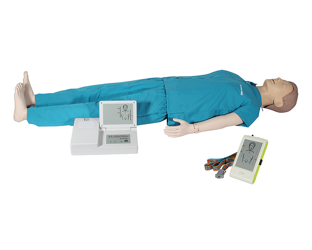Basic PVC Full Body CPR Training Manikin Anatomical Model for First Aid Training in Schools and Medical Science