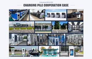 Cargador de Vehículos Eléctricos Comercial de 22 kW, CCS2 CHAdeMO, Estación de Carga Inteligente para Vehículos Eléctricos, Servicio de Carga de CA para el Hogar, para Tesla 3 - Product Image 5
