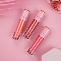 Gloss à lèvres personnalisé, brillant nacré, rouge à lèvres liquide chatoyant, hydratation longue durée et gloss à lèvres naturel à étiquette privée
