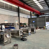 Commerciële borstelwas- en schilmachine, automatische roestvrijstalen groente- en fruitwasser/schiller voor aardappel, wortel, gember