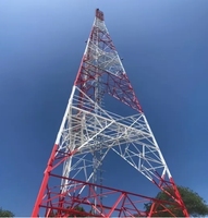 Tour Galvanisée Autoportante pour Antenne de Communication Réseau Mesh Internet Sans Fil