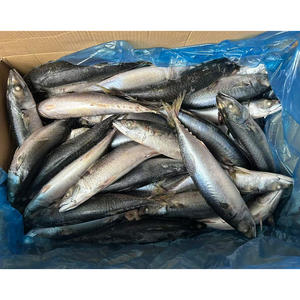 Maquereau bleu entier maquereau <span class=keywords><strong>du</strong></span> Pacifique congelé 400/600 maquereau congelé Scomber Scombrus - Product Image 4