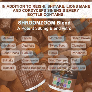 Заводская поставка 20 в 1, мощный микс, экстракт грибов, капсула, смесь льва, грива, кордицепс, Рейши, Чага, индейка - Product Image 4