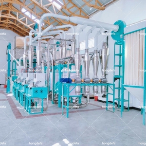 Machine à moudre le maïs 30T/D <span class=keywords><strong>en</strong></span> stock au Kenya, livraison <span class=keywords><strong>rapide</strong></span> pour les acheteurs - Product Image 5